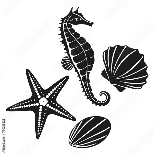 set-of-different-black-sea-shells-and-starfish-vec (2).eps