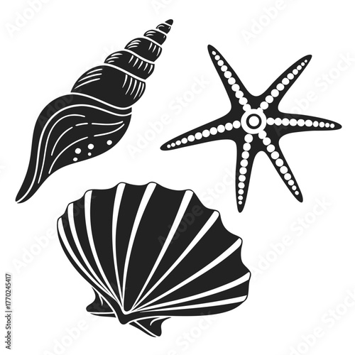 set-of-different-black-sea-shells-and-starfish-vec (5).eps