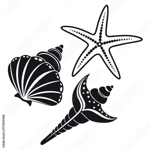 set-of-different-black-sea-shells-and-starfish-vec (25).eps