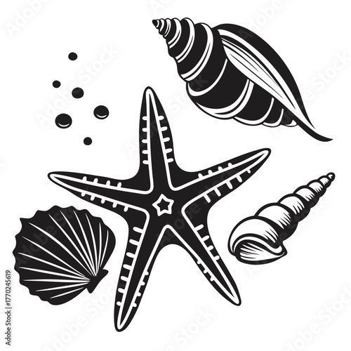 set-of-different-black-sea-shells-and-starfish-vec (7).eps