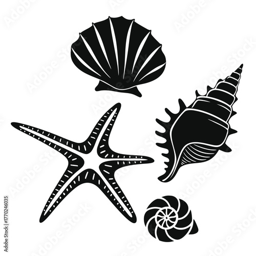 set-of-different-black-sea-shells-and-starfish-vec (13).eps
