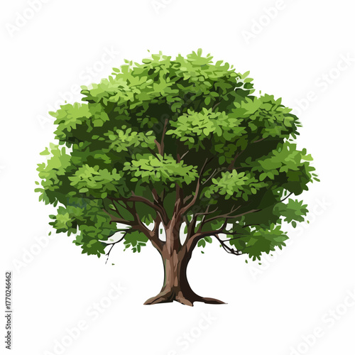 tree isolated on white background