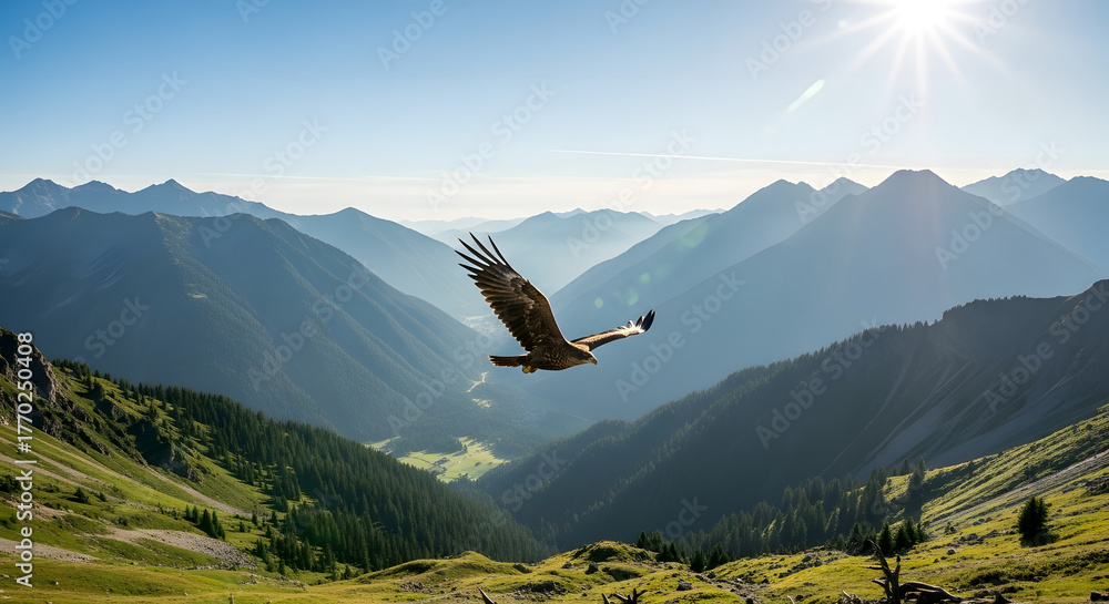 Fototapeta premium Majestic Eagle Soars Through Sunlit Alpine Valley with Majestic Peaks in Background