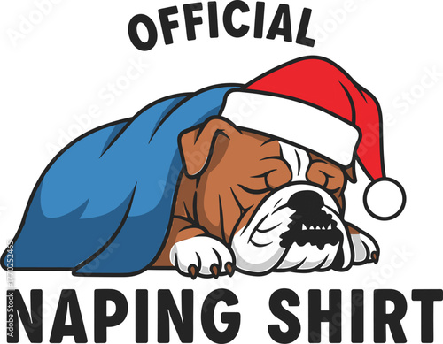Sleeping Bulldog Wearing Santa Hat and Blue Blanket with 