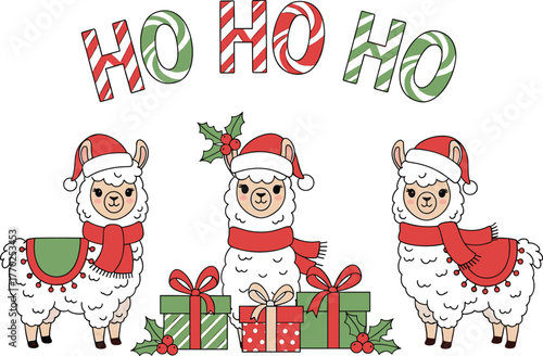 Three cute llamas wearing Santa hats and scarves with Christmas presents and holly decorations alpaca