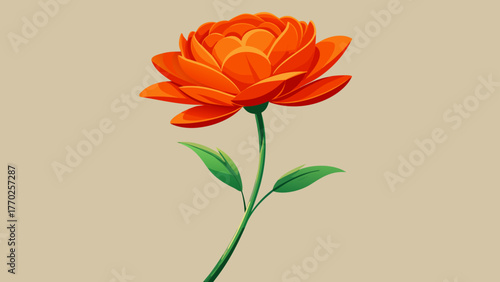 Very beautiful single orange flower with a slender green stem, captured in minimalist composition on a light background, symbolizing elegance, simplicity, and the purity of natural beauty.