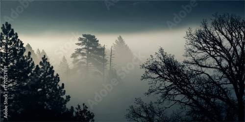 Misty forest landscape shrouded in fog creating a mysterious and atmospheric scene