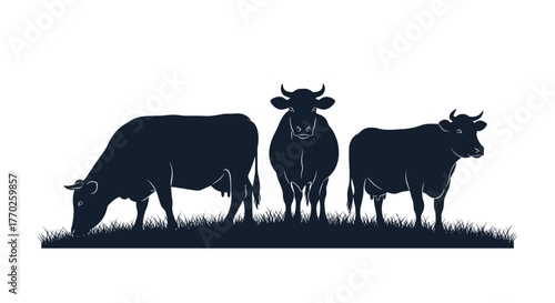 Silhouettes of three dairy cows grazing and standing in a field against a white background.