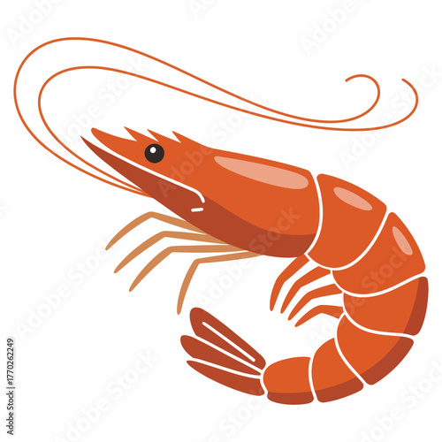 shrimp on a white background