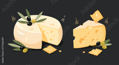 An appealing vector illustration of a cheese platter featuring a round cheese wheel, a Swiss-style wedge, fresh olives, and savory crackers.