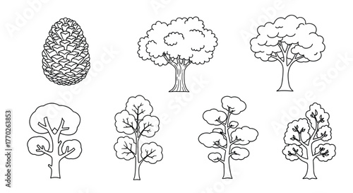 Simple black and white line art illustrations of various trees and a pine cone, perfect for educational materials or coloring.