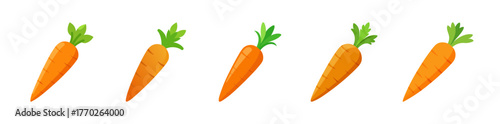 Row of fresh orange carrots with green tops isolated bright