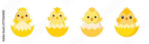 Cute little chick hatches from egg cute animal image
