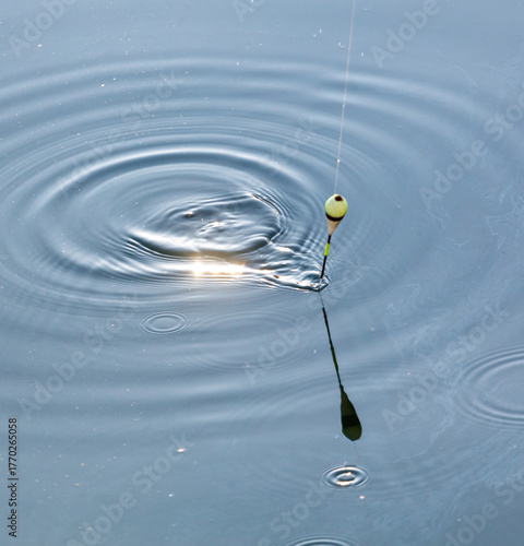 Circles on the water from a fish bite. Fishing