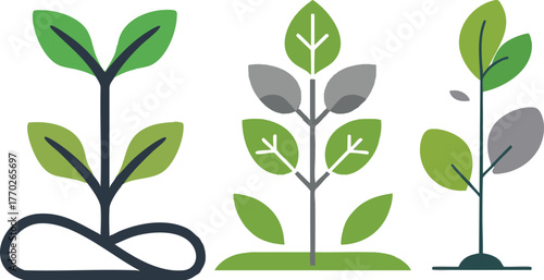 Minimalist Green Plant Growth Vector Illustration