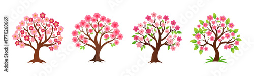 Four beautiful flowering trees in different stages of bloom