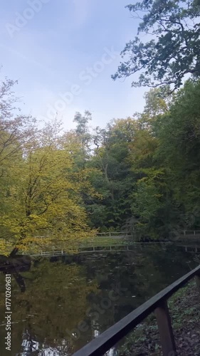 Beautiful golden yellow leaves forest at a lake, tranquil autumn background 