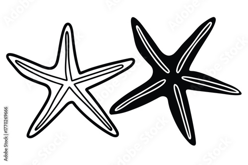 Starfish Line Art Illustration Vector