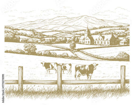 Panorama of pastures and mountains. A farmstead, a dairy farm and cottages, a road between pastures. Cows graze in field, grass and bushes in the foreground. Sketch, linear drawing on white background