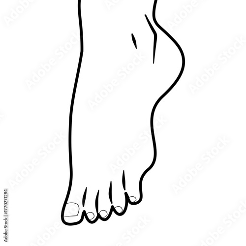 Bare Feet Barefoot Human