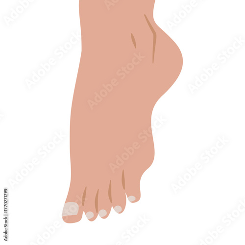 Bare Feet Barefoot Human