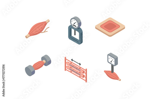 isometric icon items isolated on white background muscle spindle sensor muscle strength dynamometer muscle recovery patch muscle isotonic trainer muscle sarcomere diagram muscle elasticity