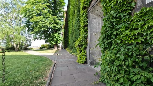 Walking along the path beside an ivy-covered tower at Wawel Castle in Krakow, south of Poland - green vines, stone walls, and peaceful historic scenery.