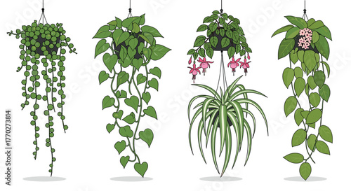 Elegant hanging plants offer a natural botanical touch to any space with greenery, leaves, and flowers in decorative pots for stylish modern decor