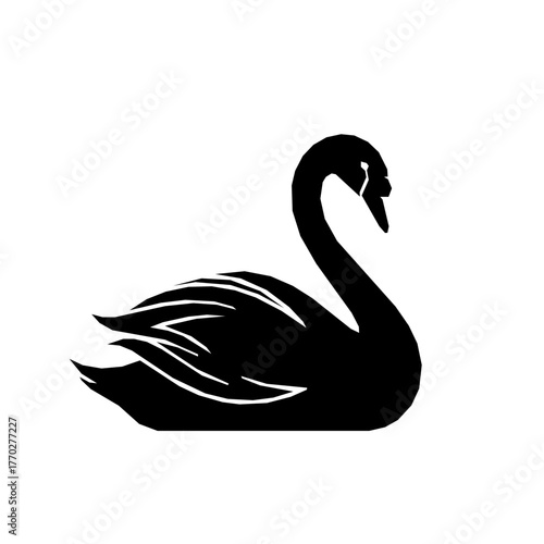 Silhouette of a black swan