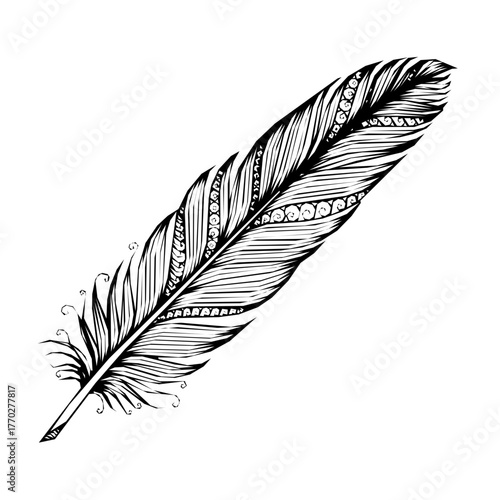Detailed feather illustration with intricate patterns