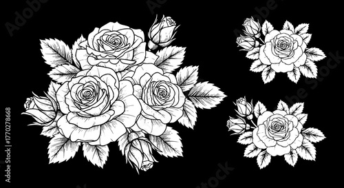 Elegant Rose Blossom Illustrations for Botanical Designs, Weddings & Valentine's Day Projects. Exquisite Floral Bouquet and Isolated Flowers for Romantic Invitations, Stationary, Decoration & Tattoo A