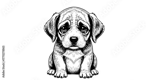 Distressed Beagle Puppy Sitting with a Sad Expression, Cartoon Illustration in Black and White on Isolated Background, Pet Adoption Graphic for Veterinarian Marketing Material and Children's Illustrat