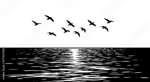 Seagulls Flying Over Water at Sunset Silhouette - Coastal Birds Flock Skimming Ocean Horizon Landscape, Symbolizing Freedom, Tranquility and Journey for Nature & Wildlife Projects, Backgrounds and Mod