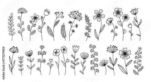 Delicate Floral Doodles: Hand-Drawn Botanical Elements on White Background for Nature-Inspired Designs, Spring Weddings, and Feminine Branding, Offering a Light, Artistic Touch for Invitations, Statio