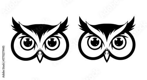Majestic Owl Eyes Staring Intently in Monochrome Illustration, Symbolizing Wisdom and Knowledge, Graphic Design Element for Education, Wildlife, Business, and Creative Projects, Minimalist, Modern, Ey