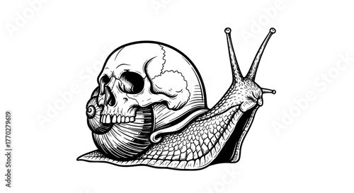 Skull Snail Emerging Slowly: Morbid Allegory of Mortality, Decay, and Transformation in Dark Fantasy Setting for Halloween, Horror Designs, Tattoo Art, Goth Subculture Illustrations and Grim Reaper Th