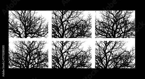 Bare Tree Branches Silhouettes Against White Background: Winter Season Tree Canopy and Twigs Texture for Halloween Spooky Scene, Gothic Design Element, Nature Pattern, Abstract Forest Landscape, Art I