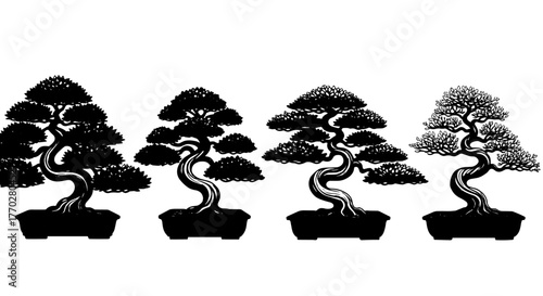 Bonsai Tree Cultivation Stages: Illustrating Growth and Maturity in Miniature Trees for Zen Gardens and Asian Culture, Used in Landscaping, Horticulture, and Relaxing Desktop Backgrounds, Black and Wh
