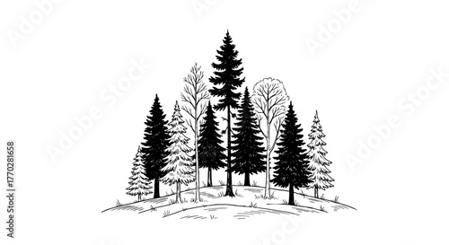 Hand-Drawn Pine Forest on Hilltop: Nature Illustration for Outdoor Adventures, Ecotourism, and Sustainable Living Projects. Classic Black and White Evergreen Trees Artwork for Environmental Conservati