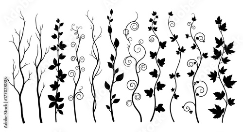 Elegant Vines Silhouettes Decorating Ornamentally, Lush Foliage Growing Upward for Botanical Design, Representing Growth and Nature, Ideal for Decoration and Embellishment with Artistic Flair, Creatin