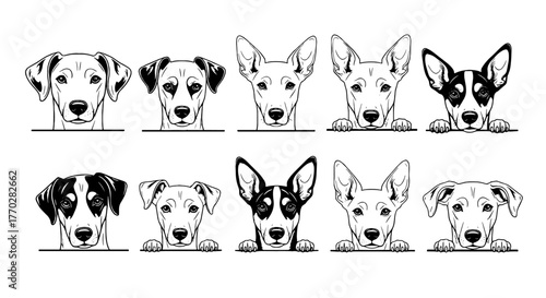 Ten Detailed Dog Portraits Peeking Over Edges: Canine Companions in Black and White Line Art Illustrations for Pet Lovers and Veterinary Marketing Materials, Animal Shelter Promotions, Ideal for Stick