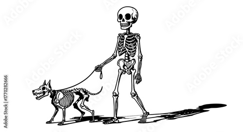 Halloween Skeleton Walking Dog: Spooky Season Illustration for Graphic Design & Holiday Marketing. A Creepy Cartoon Skeleton Taking a Canine Skeleton Pet on a Walk in Shadowy Scene, Great for Trick-or