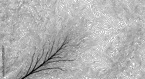 Abstract Topographic Map Depicting Drainage Patterns Across Varied Terrain, Ideal for Cartography, Geography Education, Environmental Planning, or Data Visualization Projects, with Intricate Contour L