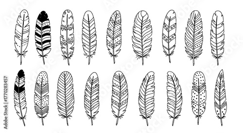 Collection of Hand-Drawn Feathers Isolated on White Background for Creative Projects, Representing Freedom and Bohemian Style, Useful in Arts & Crafts, Graphic Design, and Tribal Decorations, Detailed