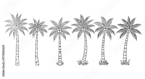 Line Art Palm Trees Seamless Pattern Border for Summer Vacation Themed Designs, Tropical Island Getaway Illustrations, Nature Backgrounds,  Eco-Friendly Products, Travel and Tourism Ad Campaigns, Mode