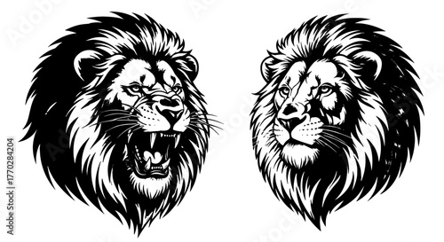 Majestic Lion Heads Roaring and Watching in Black and White Illustration Style with Intense Eyes, Great for Tattoo Design, Animal Logos, T-Shirt Prints, and Courageous Brand Identity, Featuring Angry