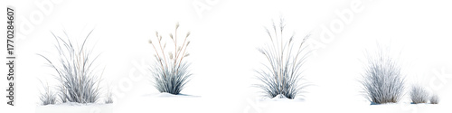 Watercolor Winter Grass Set: Snowy Botanical Illustration