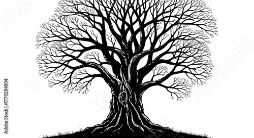 Majestic Bare Tree Silhouette Standing Tall in Winter Landscape, Symbolizing Resilience & Endurance Against a White Backdrop, Perfect for Nature Conservation & Environmental Designs & Graphic Resource