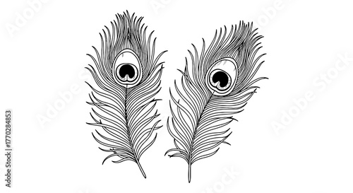 Elegant Peacock Feathers Ornamentation in Black and White, Detailed Plumage Design Element for Creative Projects, Decorative Natural Motifs for Invitations and Greetings Cards, Artistic Indian-Inspire