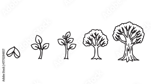 Hand drawn tree growth stages seedling sapling mature tree symbolizing life cycle silhouette
